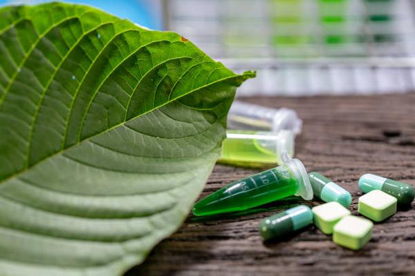 What Makes Borneo Kratom a Popular Choice